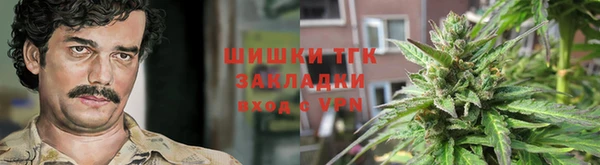 винт Абаза