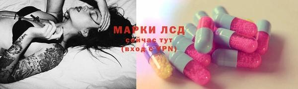 шишки Алзамай