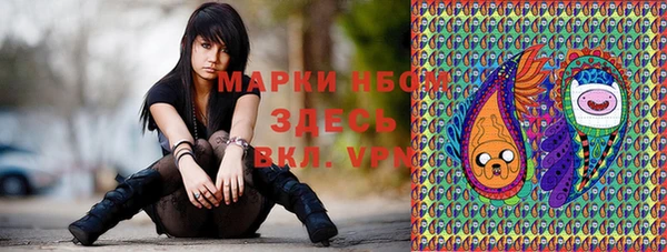шишки Алзамай